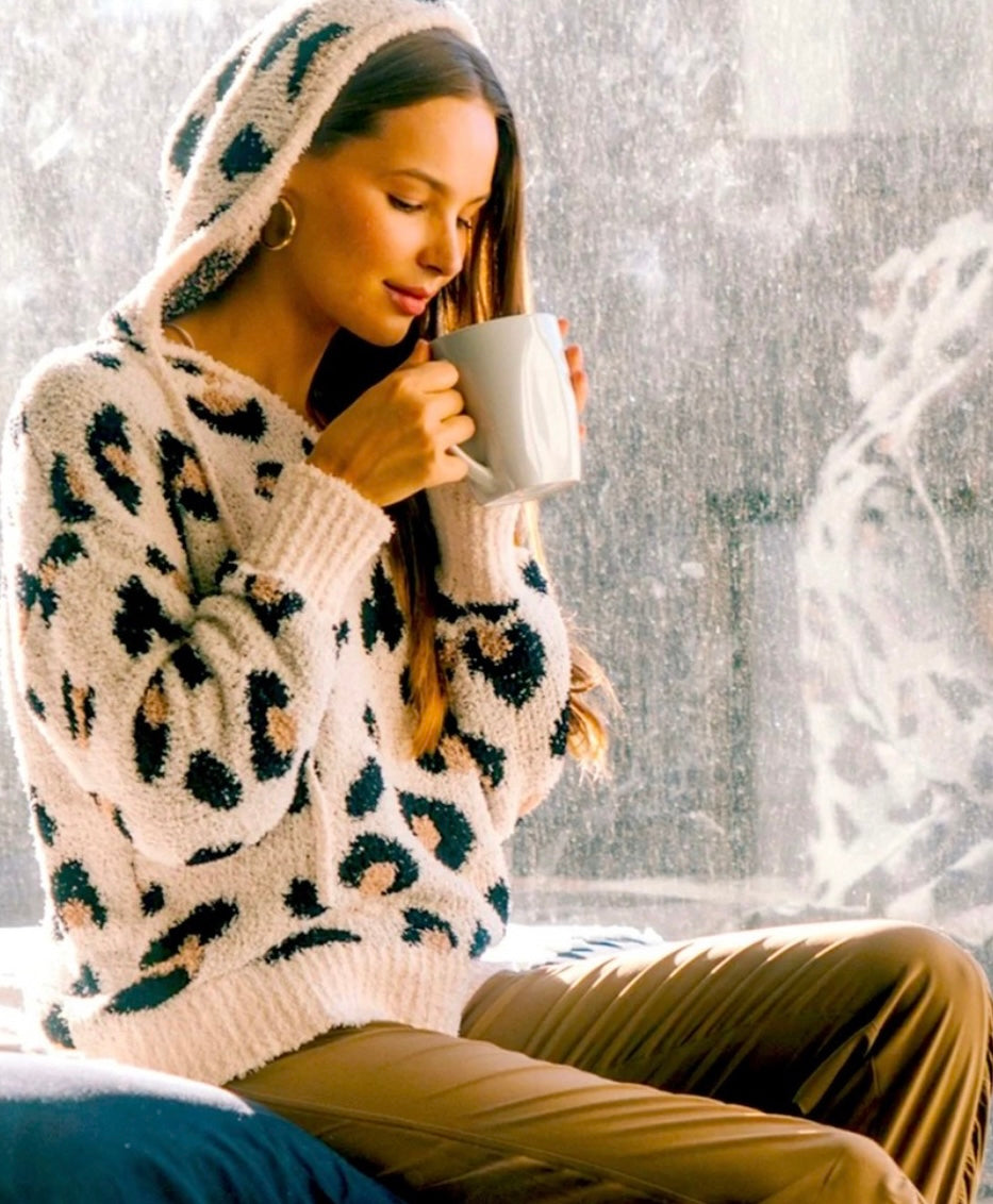 Wild Life Leopard Sweater ~ Taupe